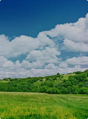 918������(�й���)�콢��