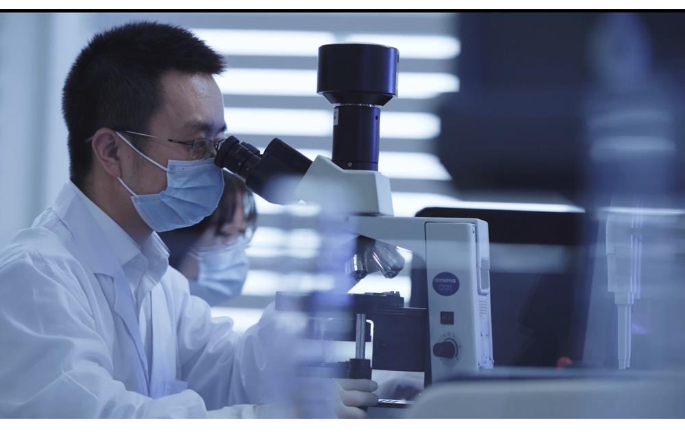 918������(�й���)�콢��